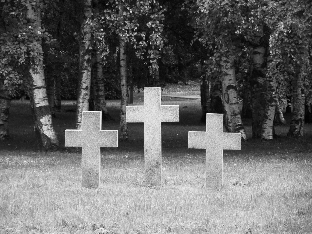 Crosses Scattered Across The Memorial